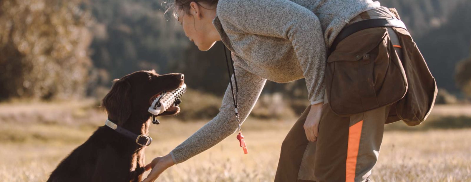A bird hunter sends her hunting dog for a retrieve