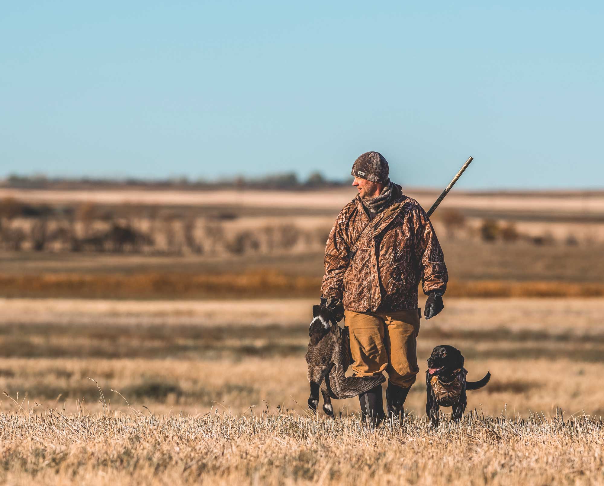 A goose hunter walks with his black lab