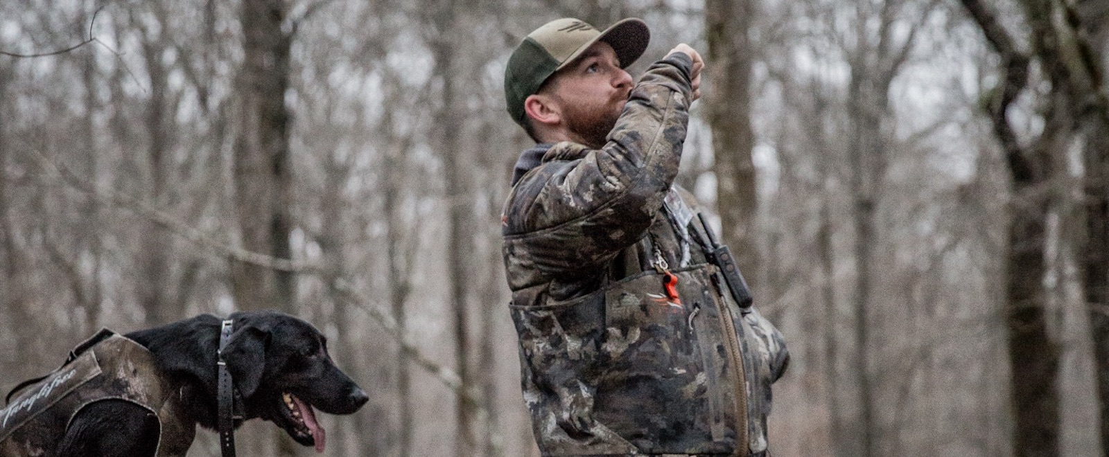 A duck hunter calls ducks while hunting with his black labrador