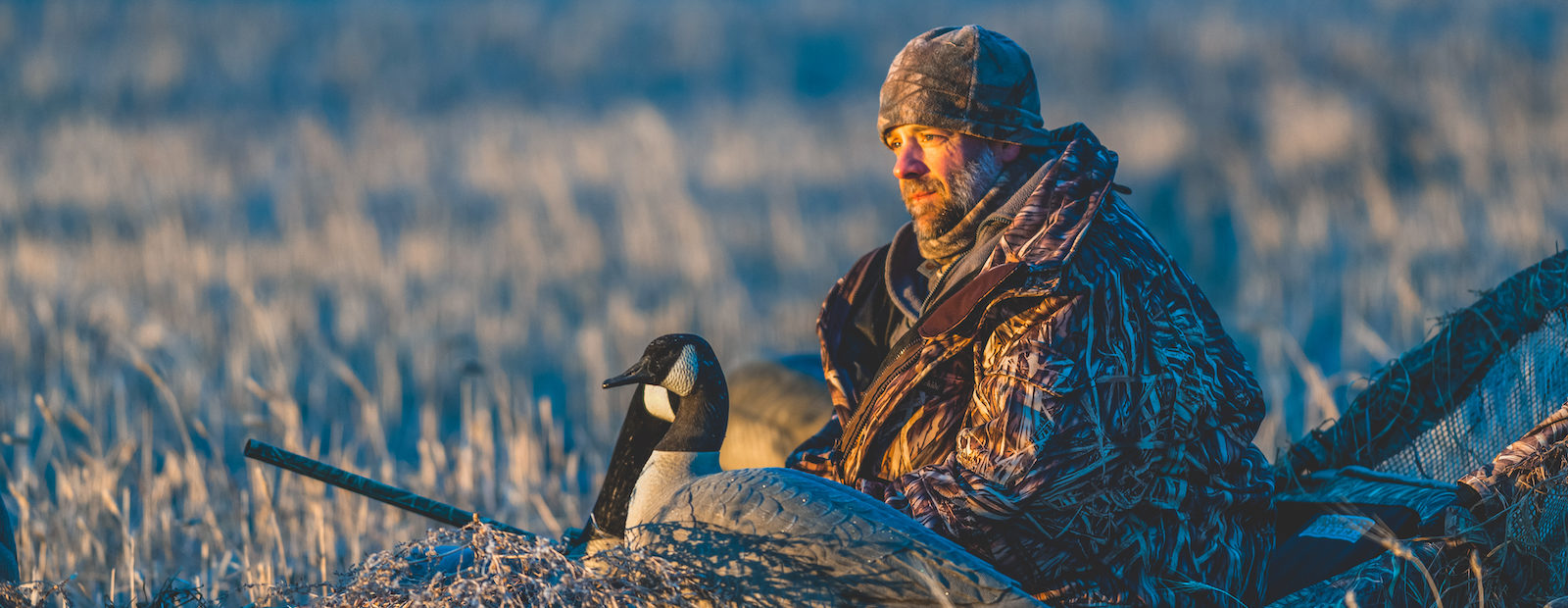 A waterfowl hunter sits in a layout blind with goose decoys