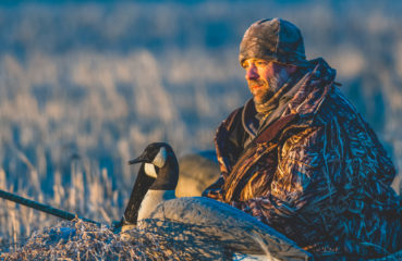A waterfowl hunter sits in a layout blind with goose decoys
