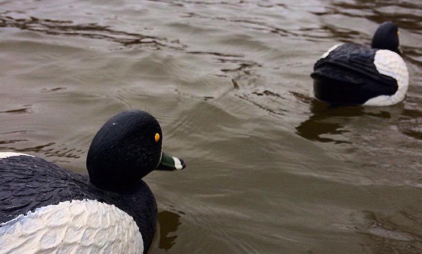 Black and white decoys for duck hunting