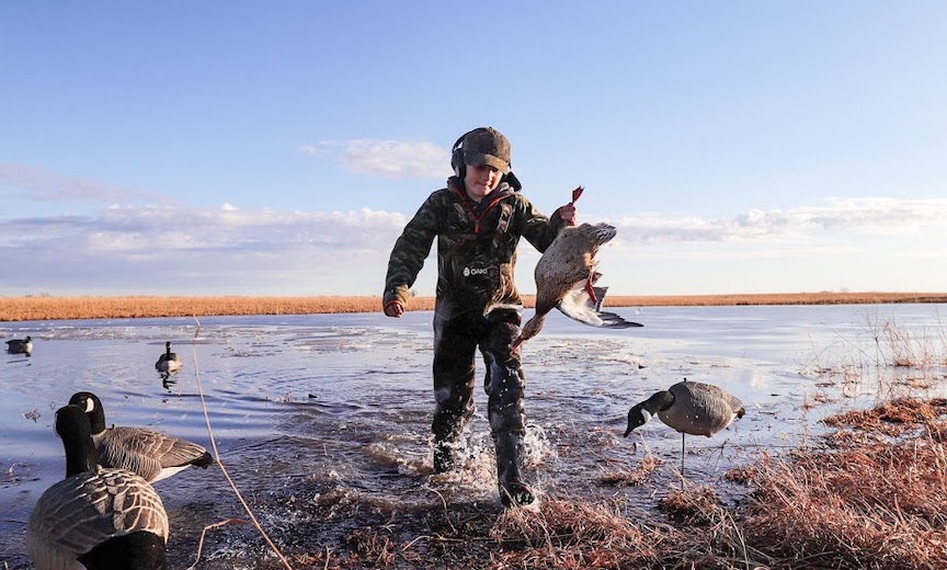 A young boy retrieves a duck from a marsh
