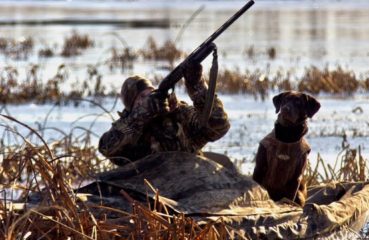 A duck hunter raises his shotgun from a camouflaged kayak