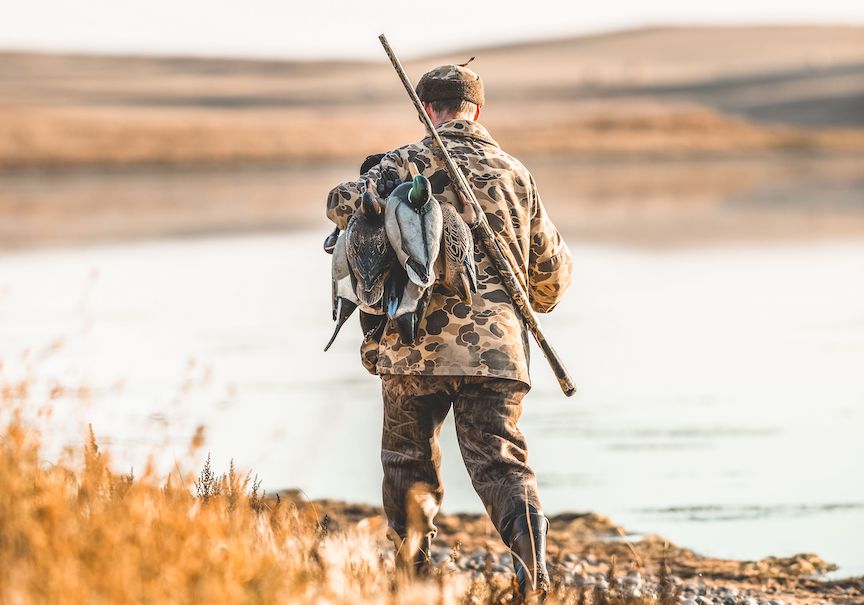 A duck hunter carries decoys along the bank of a lake