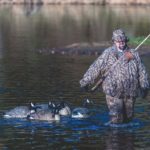 A waterfowl hunter in camouflage waders gathers goose decoys