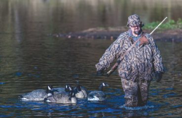 A waterfowl hunter in camouflage waders gathers goose decoys