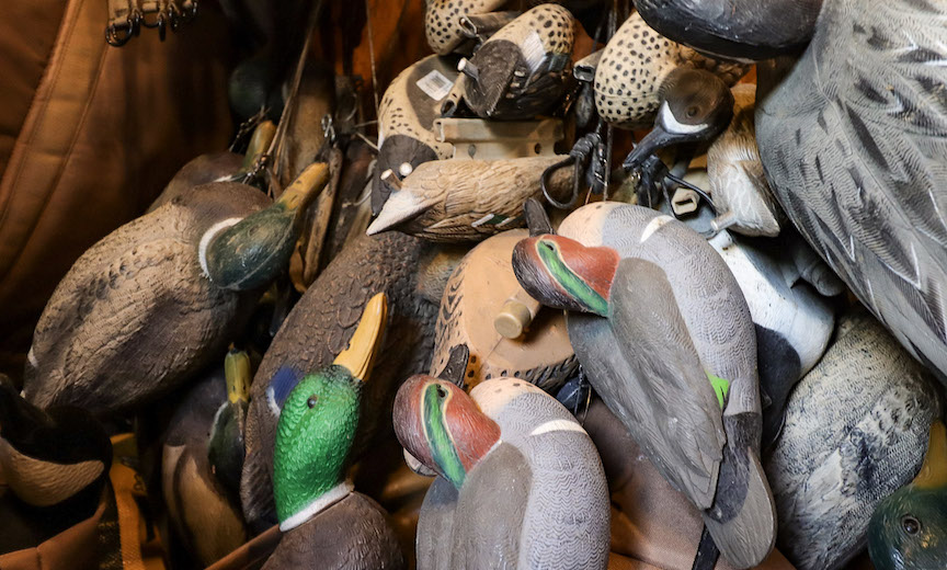 A collection of duck decoys hangs in storage
