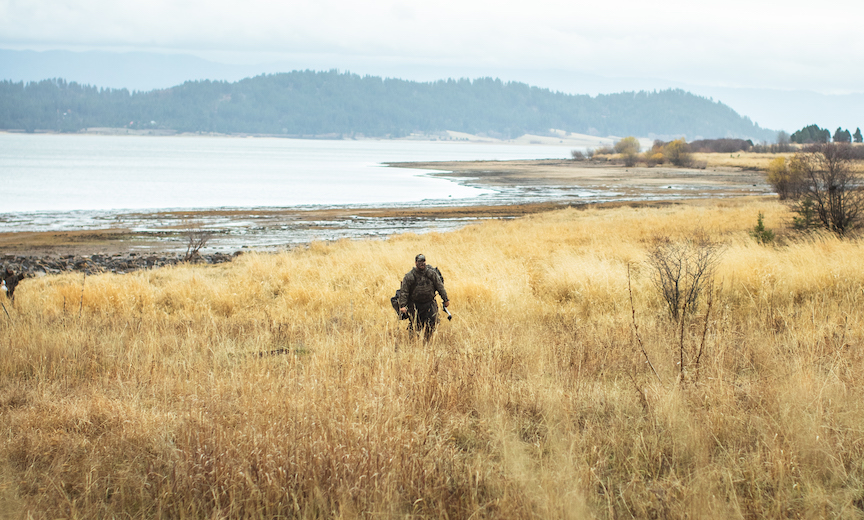 A duck hunter walks through a field of reeds