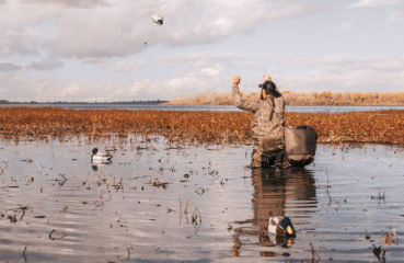 A duck hunter tosses decoys into the marsh