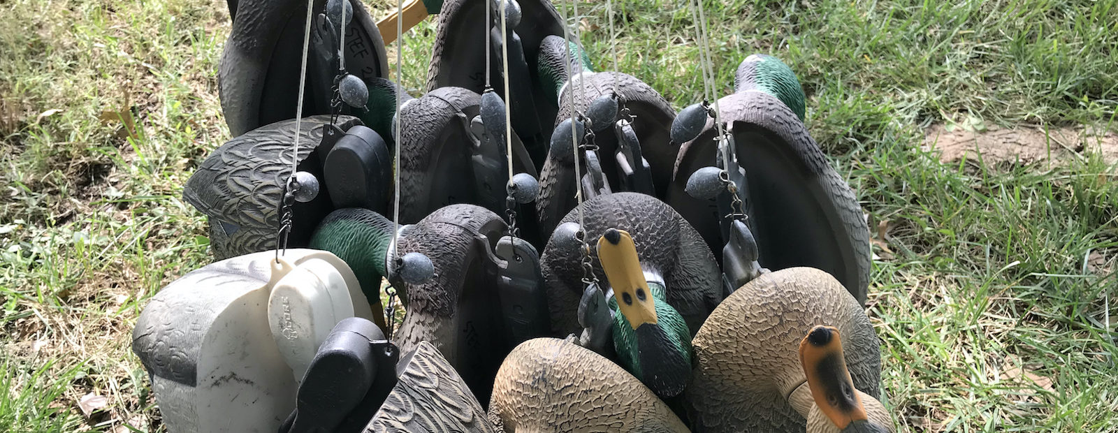 Duck decoys with texas rig anchors hang together