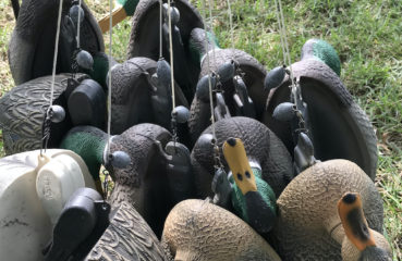 Duck decoys with texas rig anchors hang together